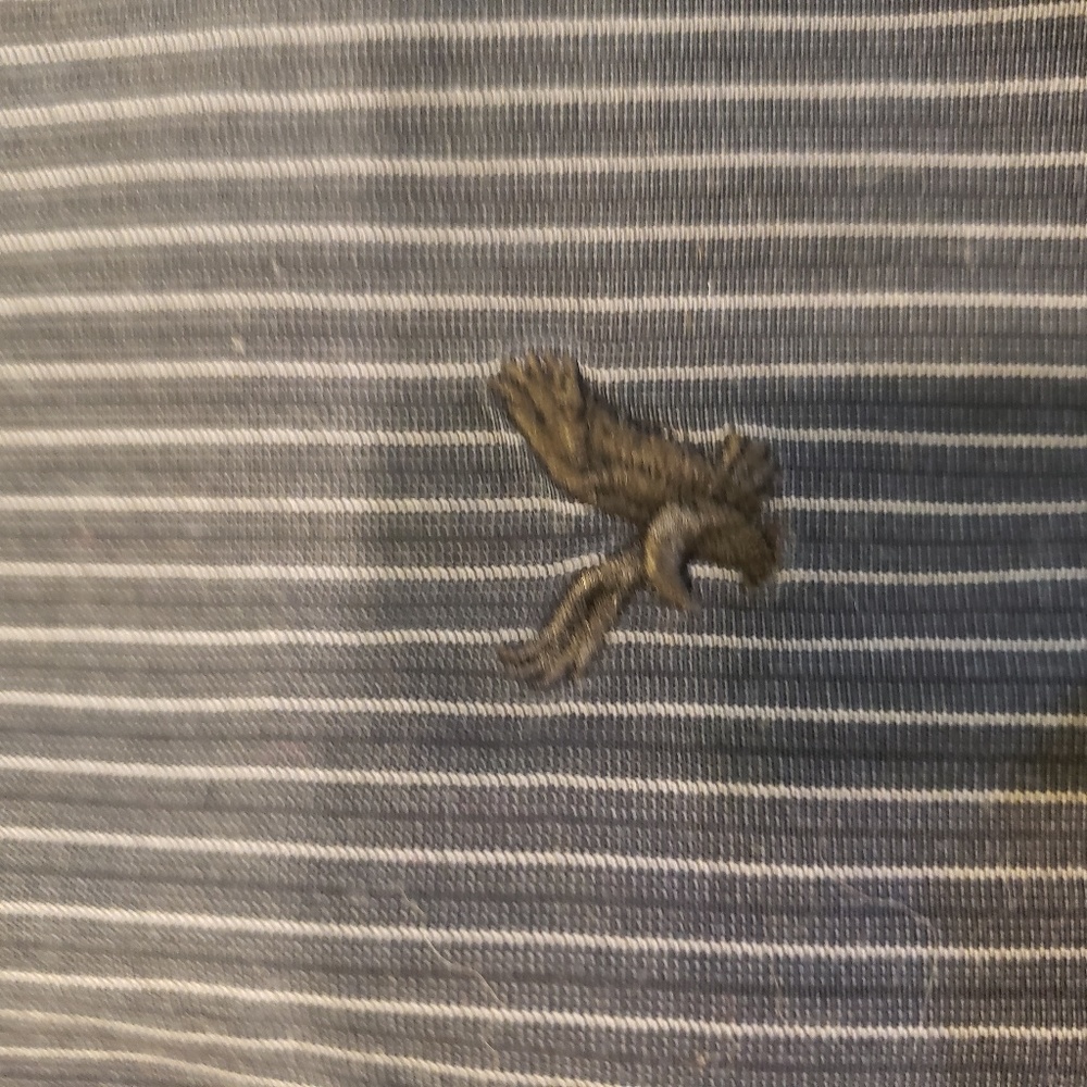 American EAgle stripped shirt